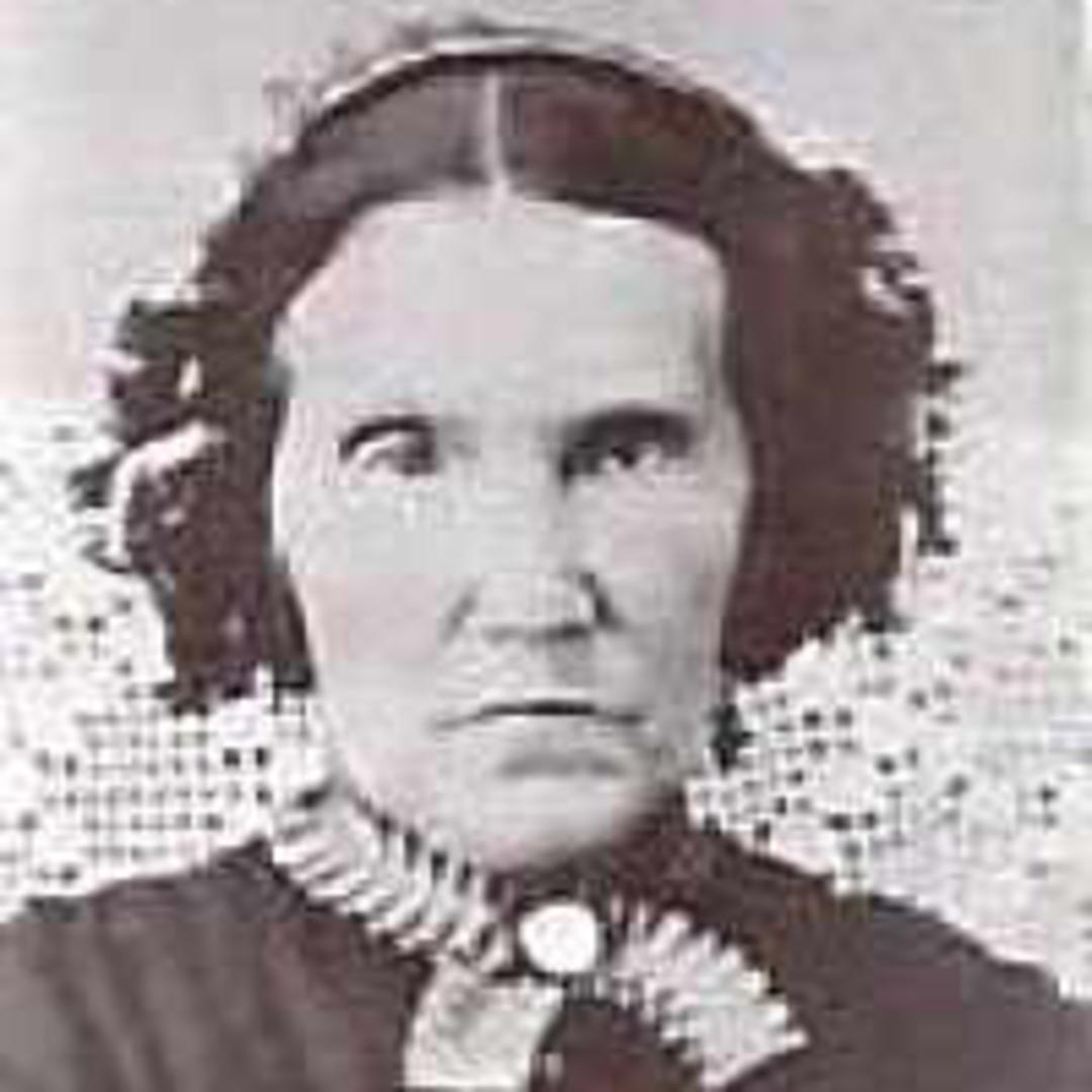 Ann Wilson McClellan (1807 - 1874) Profile